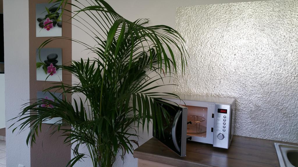 Ferienwohnung Schusi Freital Bagian luar foto